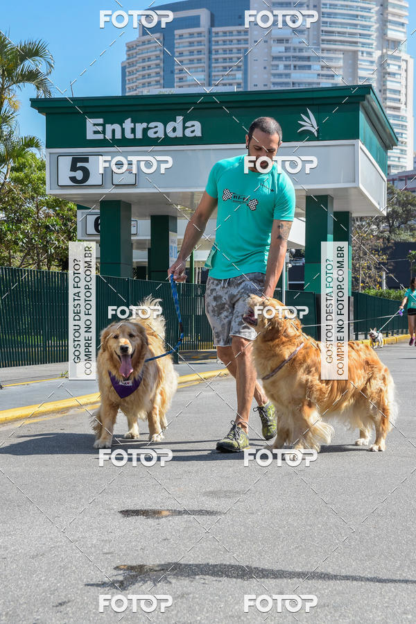 Buy your photos of the event2� Pet Run Shopping Eldorado  on Fotop