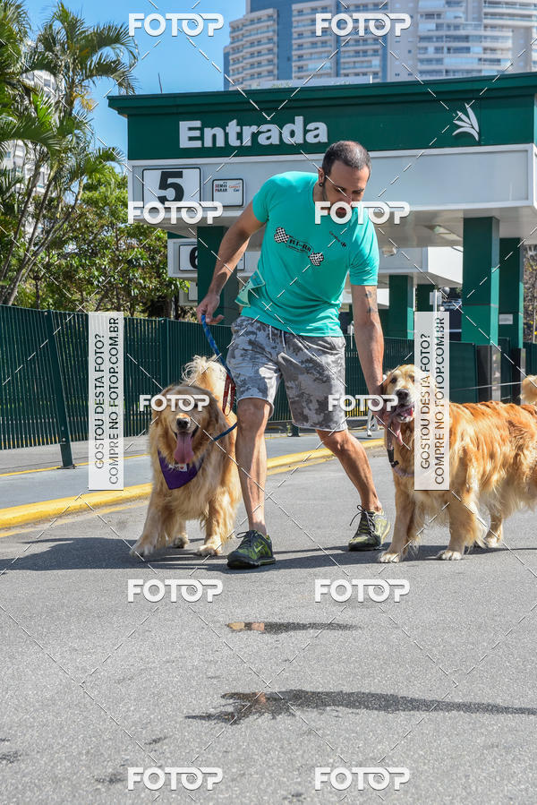 Buy your photos of the event2� Pet Run Shopping Eldorado  on Fotop
