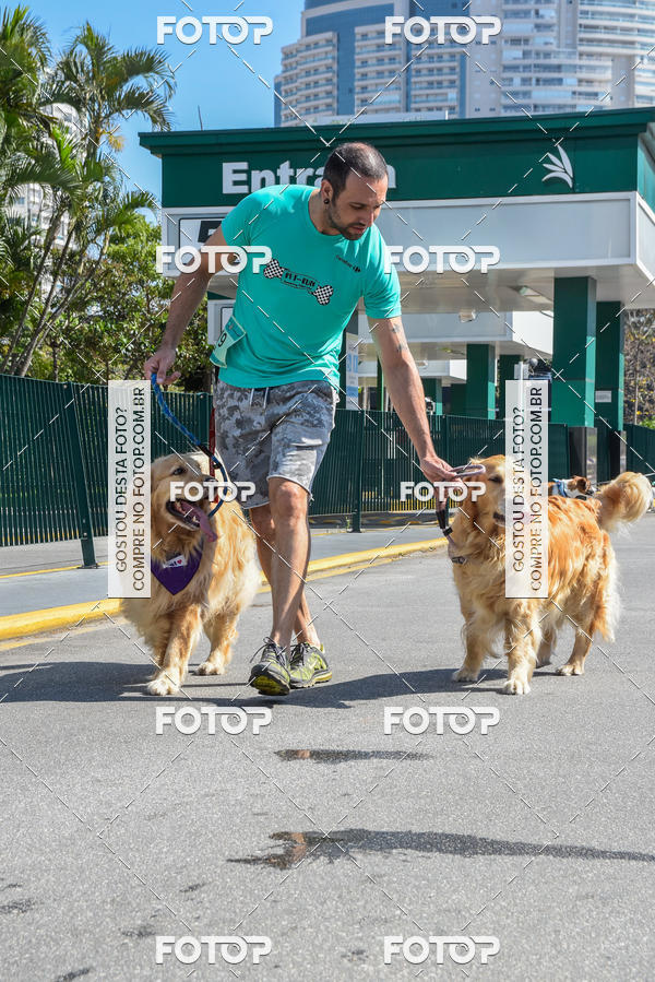 Buy your photos of the event2� Pet Run Shopping Eldorado  on Fotop