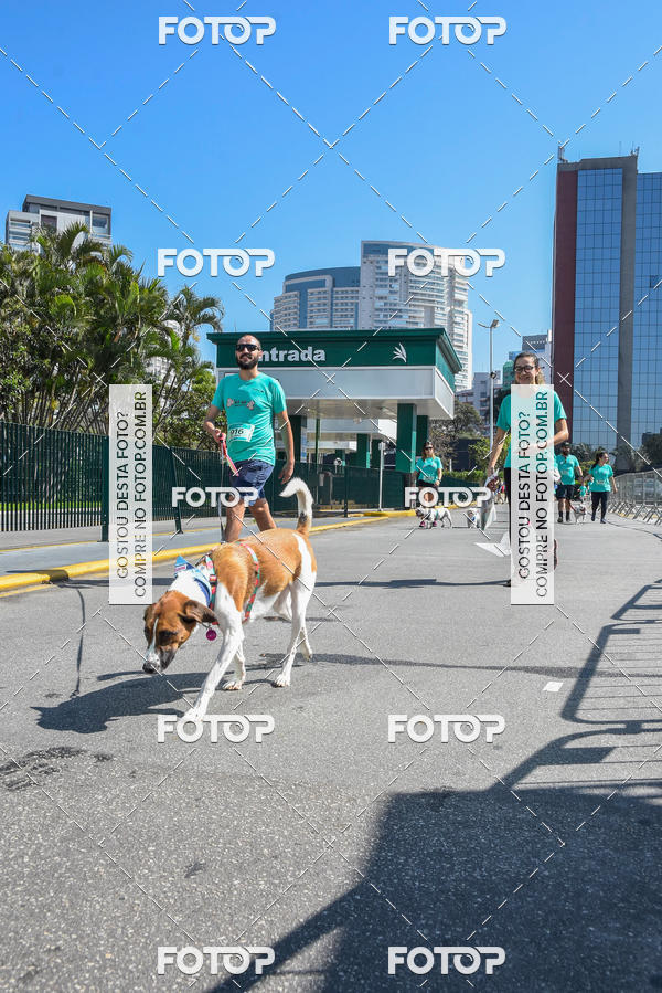 Buy your photos of the event2� Pet Run Shopping Eldorado  on Fotop