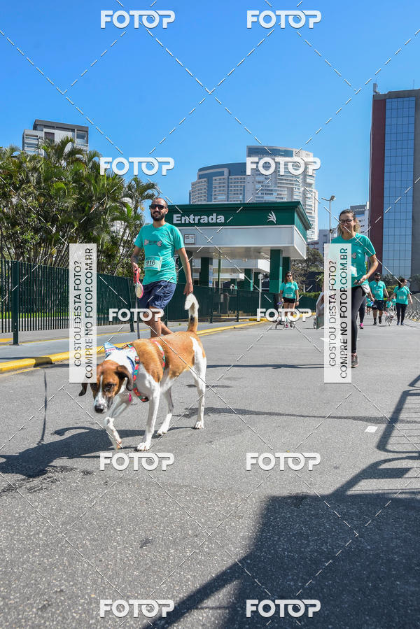 Buy your photos of the event2� Pet Run Shopping Eldorado  on Fotop