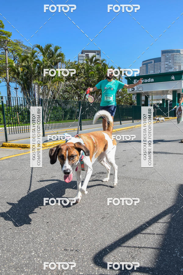 Buy your photos of the event2� Pet Run Shopping Eldorado  on Fotop