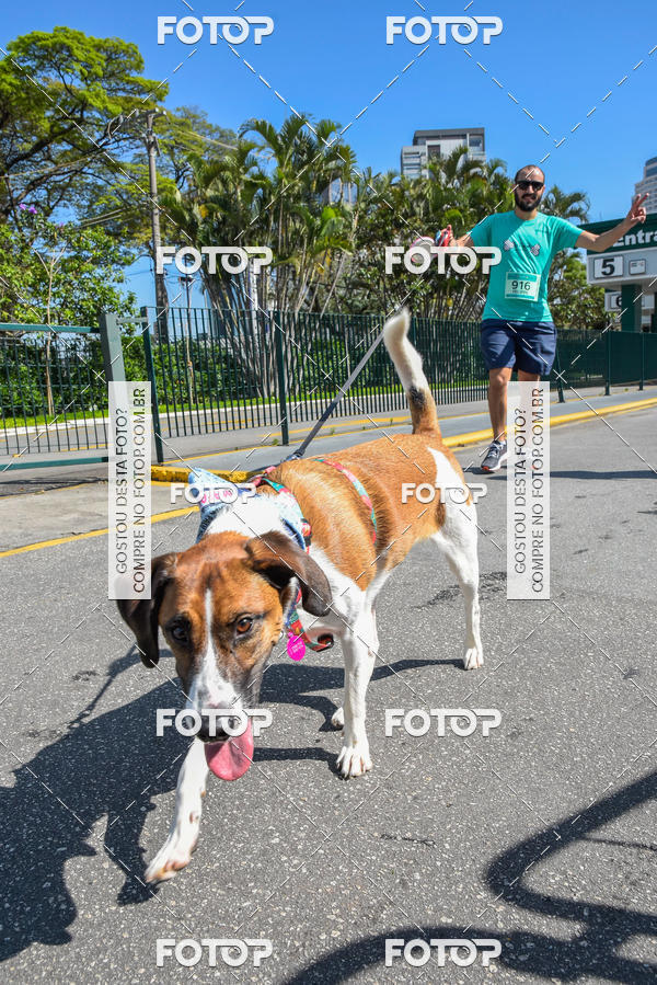Buy your photos of the event2� Pet Run Shopping Eldorado  on Fotop