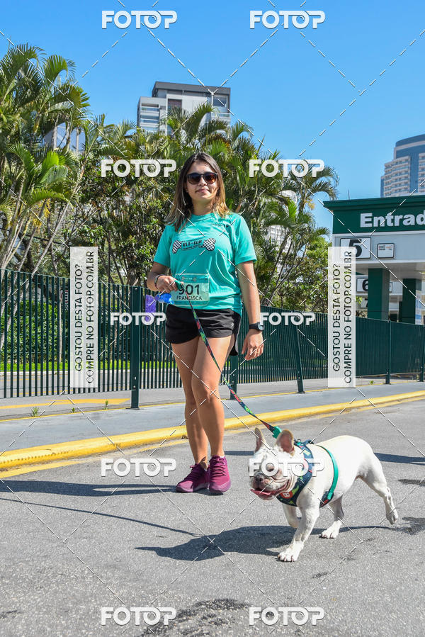 Buy your photos of the event2� Pet Run Shopping Eldorado  on Fotop