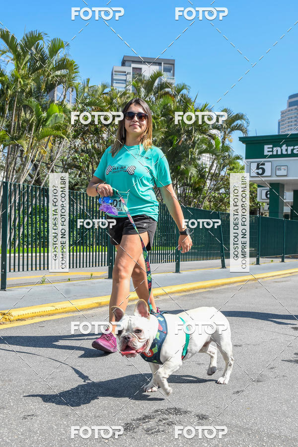 Buy your photos of the event2� Pet Run Shopping Eldorado  on Fotop