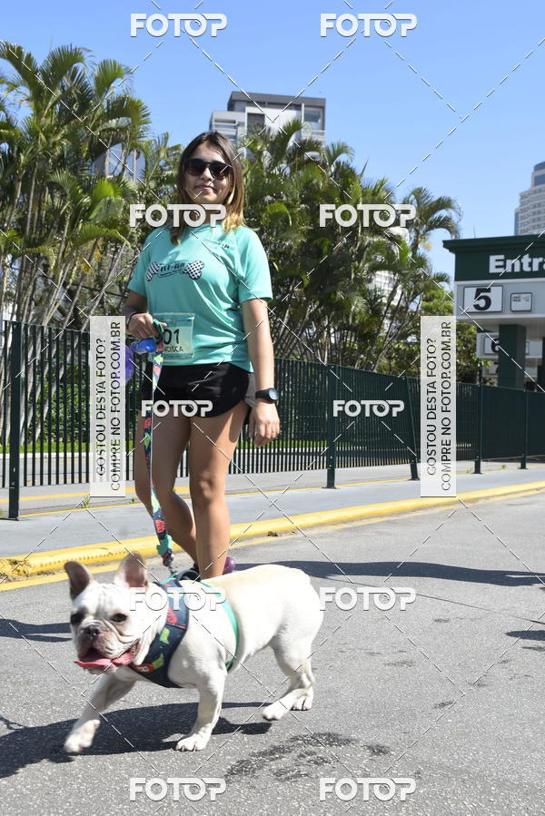 Buy your photos of the event2� Pet Run Shopping Eldorado  on Fotop