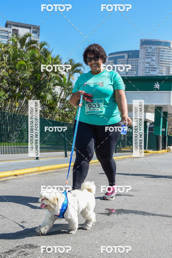 Buy your photos of the event2� Pet Run Shopping Eldorado  on Fotop