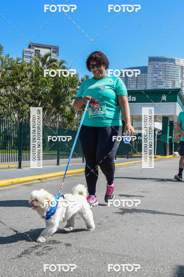 Buy your photos of the event2� Pet Run Shopping Eldorado  on Fotop
