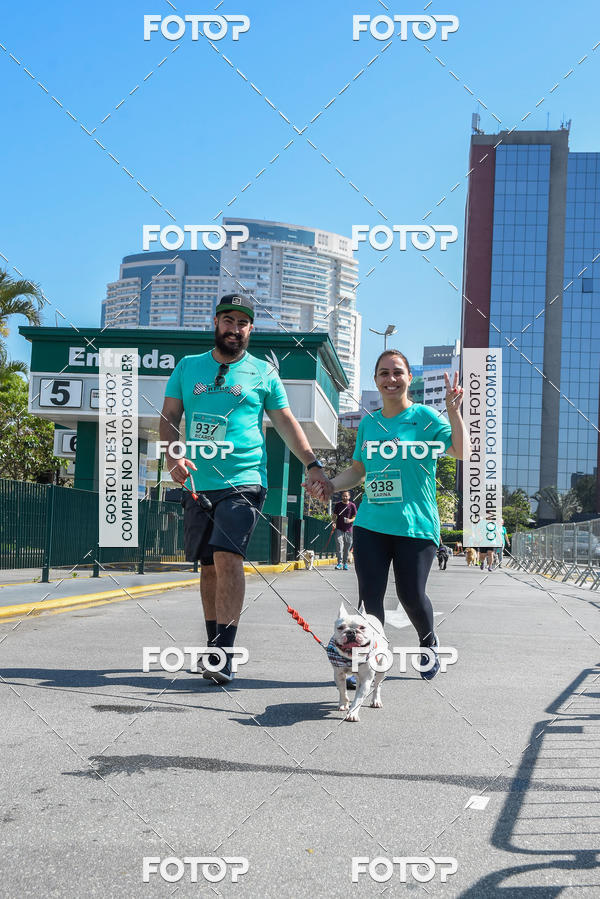 Buy your photos of the event2� Pet Run Shopping Eldorado  on Fotop