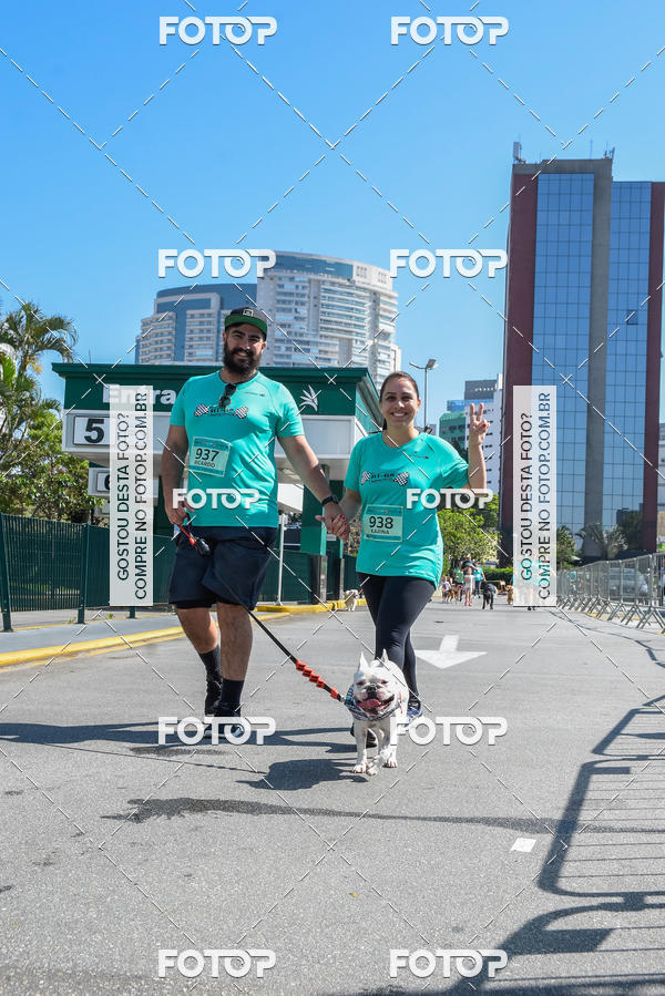 Buy your photos of the event2� Pet Run Shopping Eldorado  on Fotop
