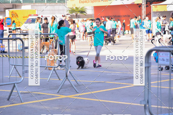 Buy your photos of the event2 Pet Run Shopping Eldorado  on Fotop