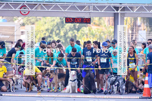 Buy your photos of the event2 Pet Run Shopping Eldorado  on Fotop