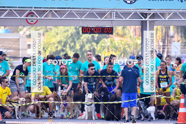Buy your photos of the event2 Pet Run Shopping Eldorado  on Fotop