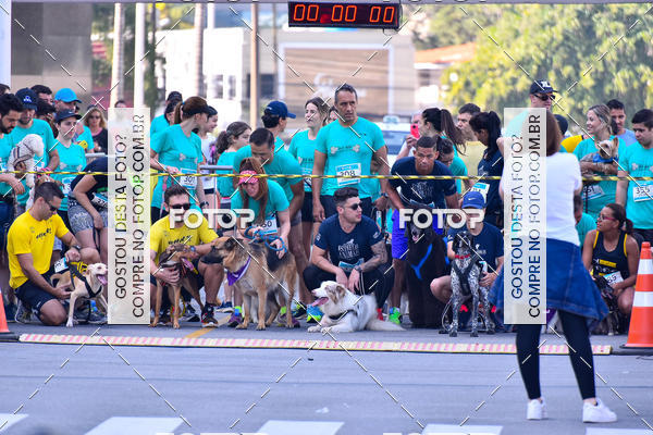 Buy your photos of the event2 Pet Run Shopping Eldorado  on Fotop
