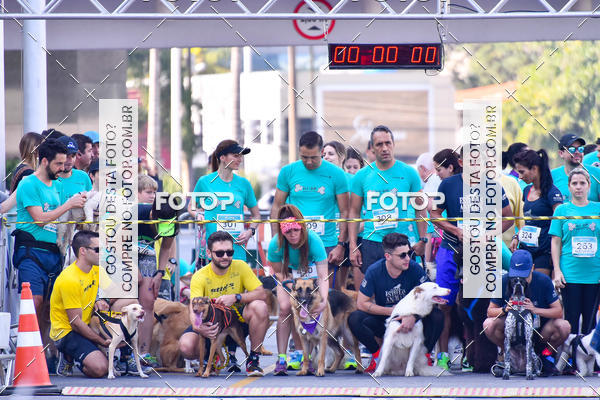Buy your photos of the event2 Pet Run Shopping Eldorado  on Fotop