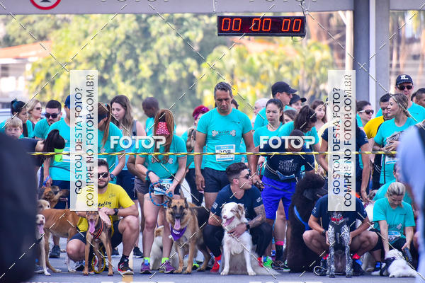 Buy your photos of the event2 Pet Run Shopping Eldorado  on Fotop