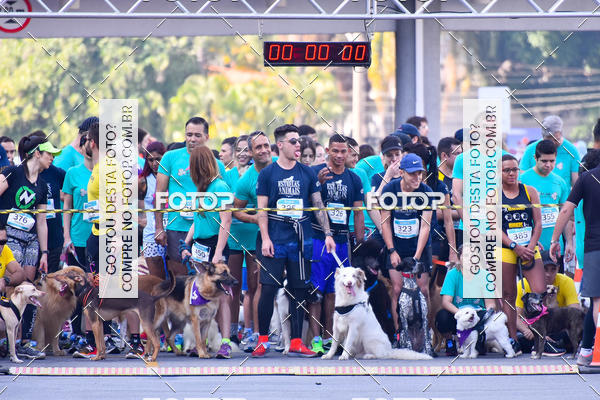 Buy your photos of the event2 Pet Run Shopping Eldorado  on Fotop