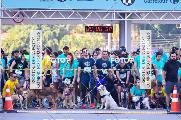 Buy your photos of the event2 Pet Run Shopping Eldorado  on Fotop