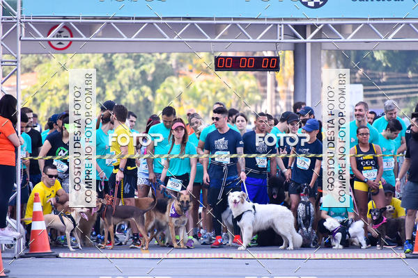 Buy your photos of the event2 Pet Run Shopping Eldorado  on Fotop