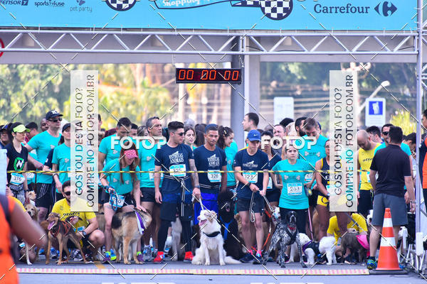 Buy your photos of the event2 Pet Run Shopping Eldorado  on Fotop