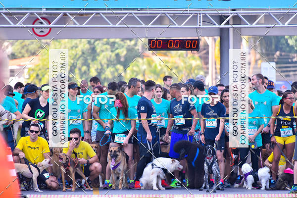 Buy your photos of the event2 Pet Run Shopping Eldorado  on Fotop