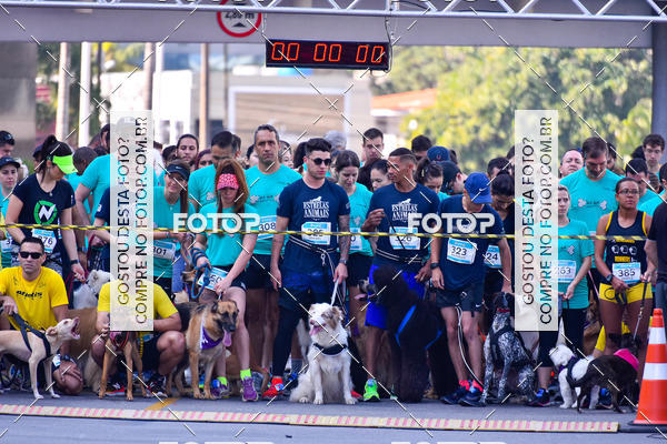 Buy your photos of the event2 Pet Run Shopping Eldorado  on Fotop