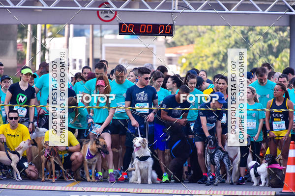Buy your photos of the event2 Pet Run Shopping Eldorado  on Fotop