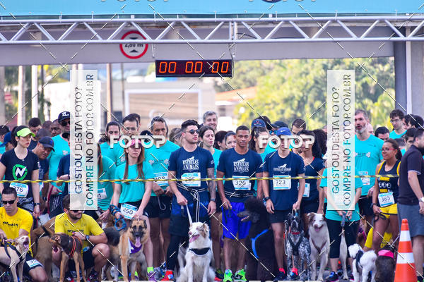 Buy your photos of the event2 Pet Run Shopping Eldorado  on Fotop