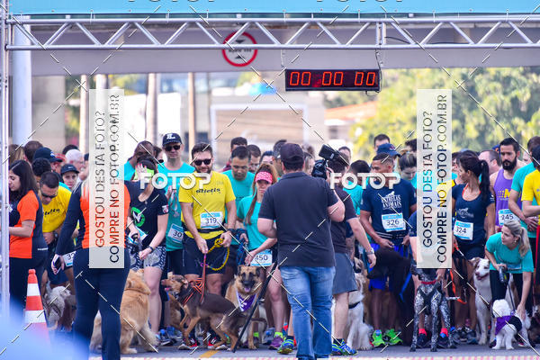 Buy your photos of the event2 Pet Run Shopping Eldorado  on Fotop