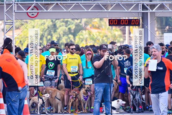 Buy your photos of the event2 Pet Run Shopping Eldorado  on Fotop