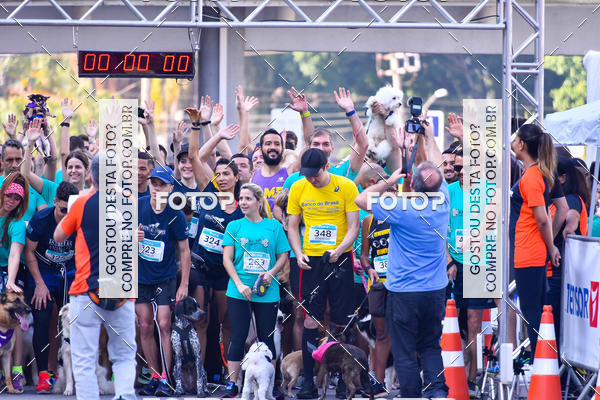 Buy your photos of the event2 Pet Run Shopping Eldorado  on Fotop