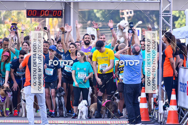 Buy your photos of the event2 Pet Run Shopping Eldorado  on Fotop