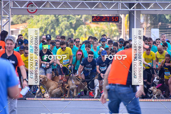 Buy your photos of the event2 Pet Run Shopping Eldorado  on Fotop