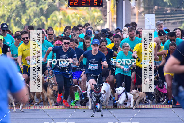 Buy your photos of the event2 Pet Run Shopping Eldorado  on Fotop