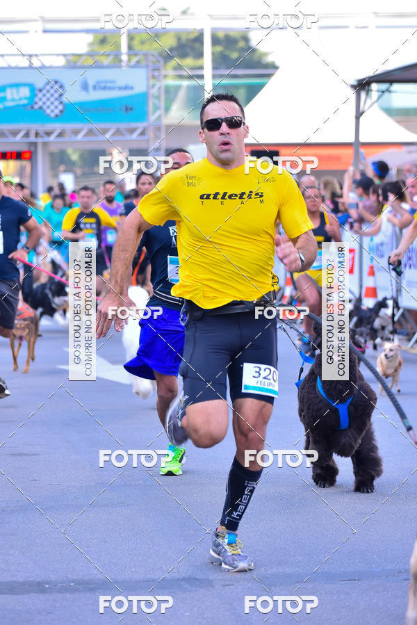 Buy your photos of the event2 Pet Run Shopping Eldorado  on Fotop