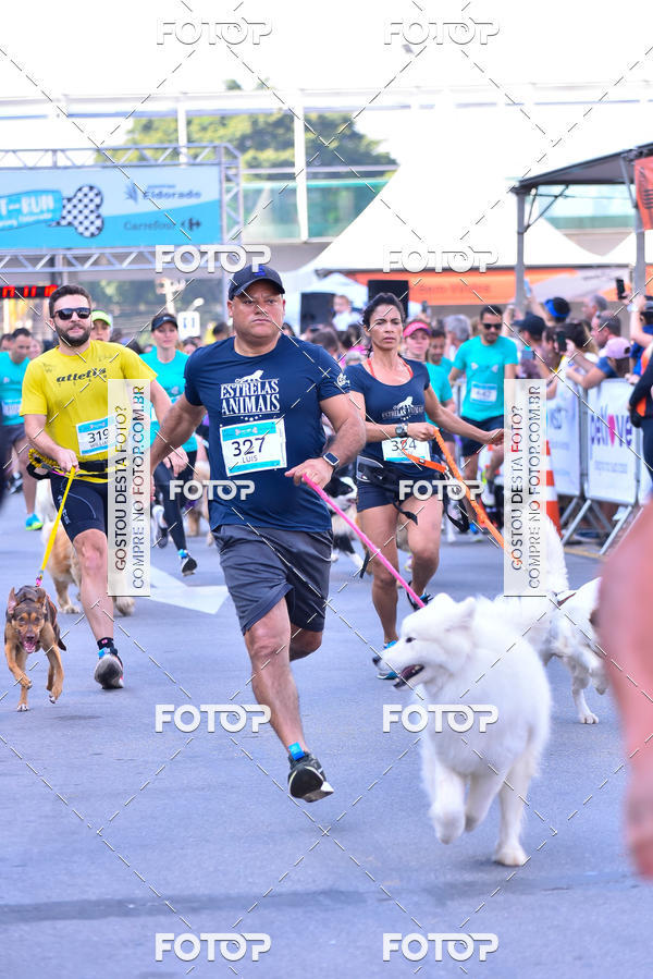 Buy your photos of the event2 Pet Run Shopping Eldorado  on Fotop
