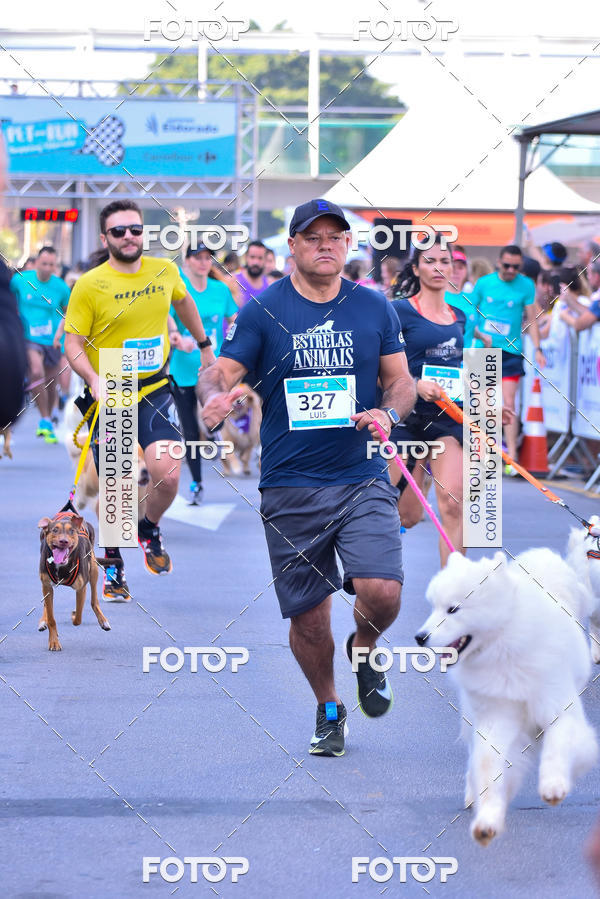 Buy your photos of the event2 Pet Run Shopping Eldorado  on Fotop