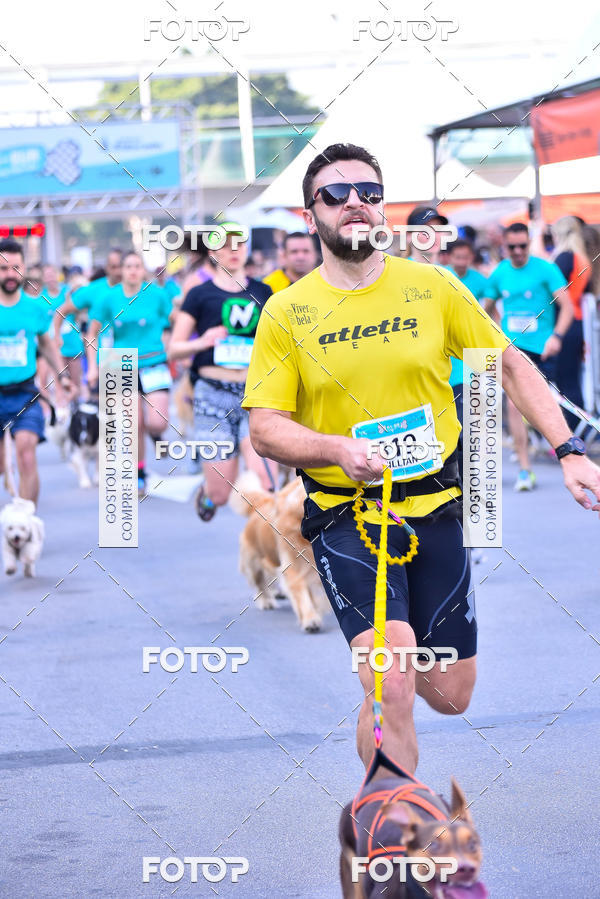 Buy your photos of the event2 Pet Run Shopping Eldorado  on Fotop