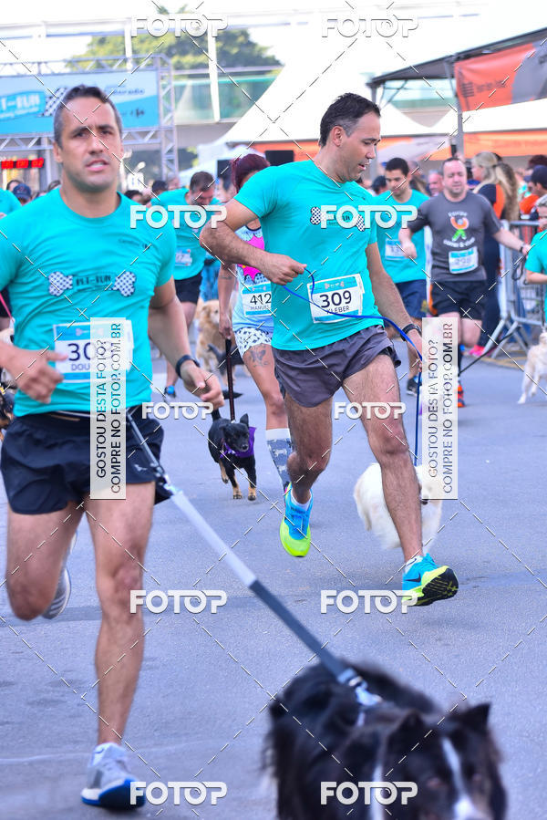 Buy your photos of the event2 Pet Run Shopping Eldorado  on Fotop
