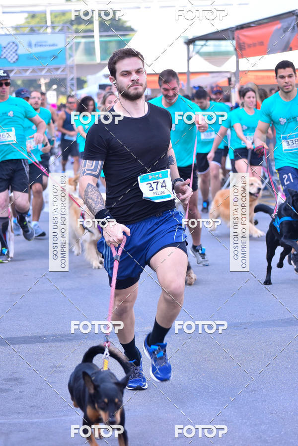 Buy your photos of the event2 Pet Run Shopping Eldorado  on Fotop
