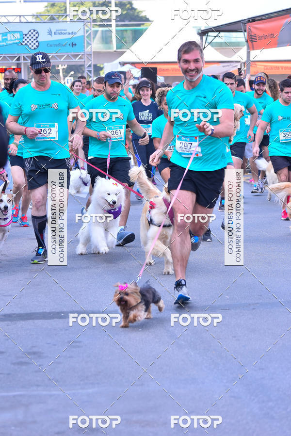 Buy your photos of the event2 Pet Run Shopping Eldorado  on Fotop