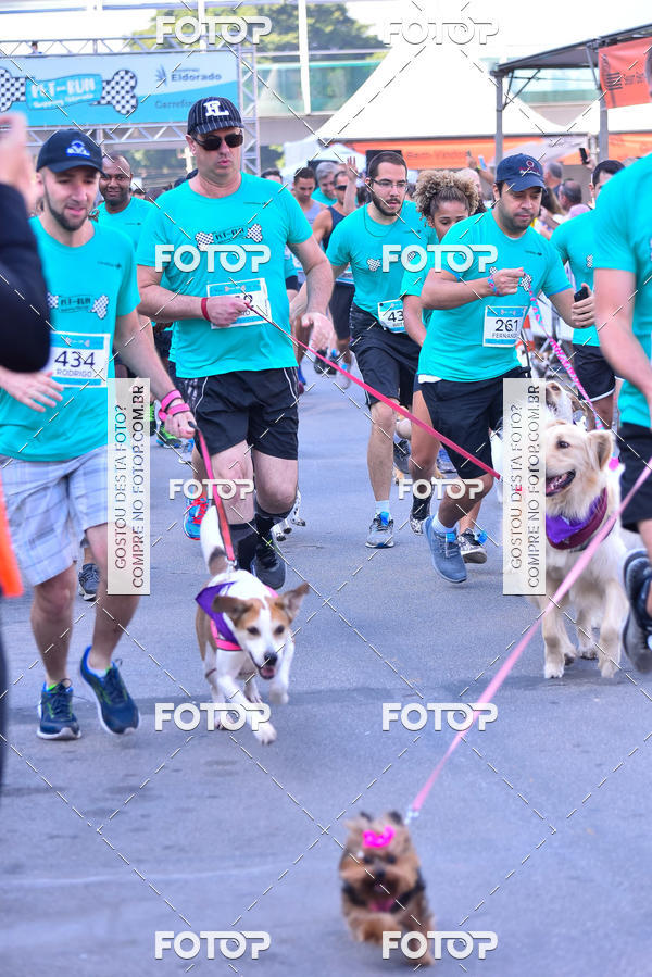 Buy your photos of the event2 Pet Run Shopping Eldorado  on Fotop