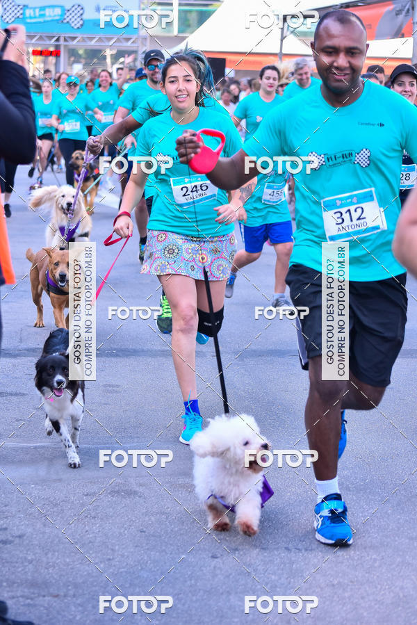Buy your photos of the event2 Pet Run Shopping Eldorado  on Fotop