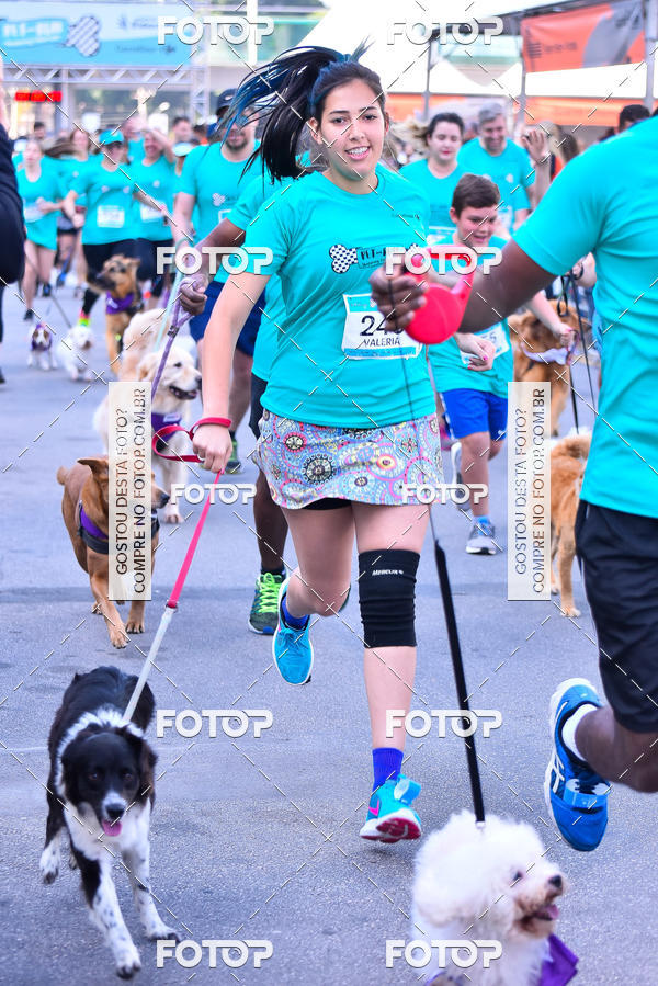 Buy your photos of the event2 Pet Run Shopping Eldorado  on Fotop