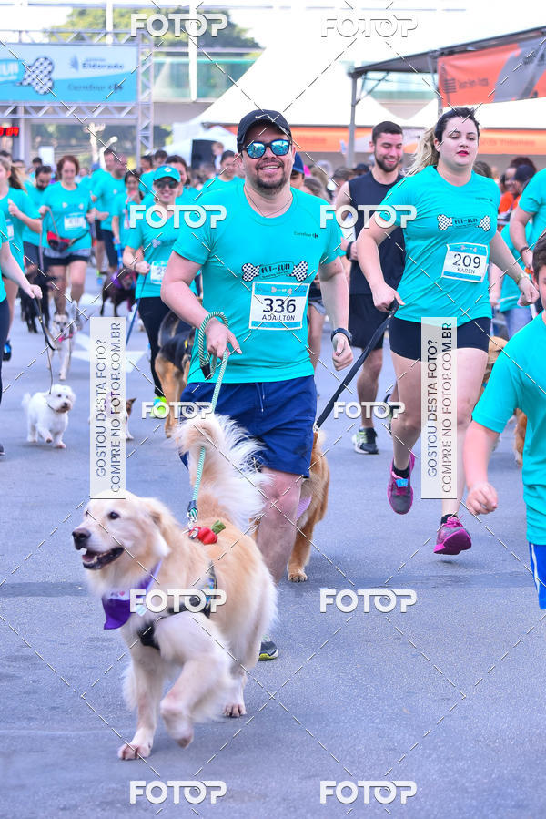 Buy your photos of the event2 Pet Run Shopping Eldorado  on Fotop