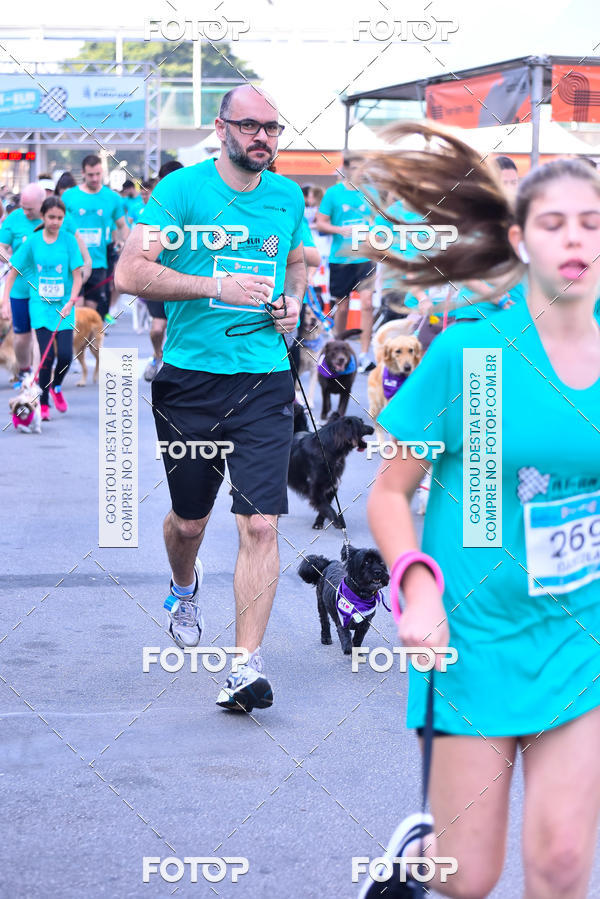 Buy your photos of the event2 Pet Run Shopping Eldorado  on Fotop