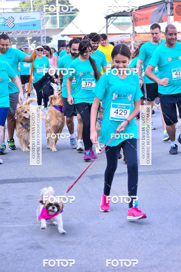 Buy your photos of the event2 Pet Run Shopping Eldorado  on Fotop
