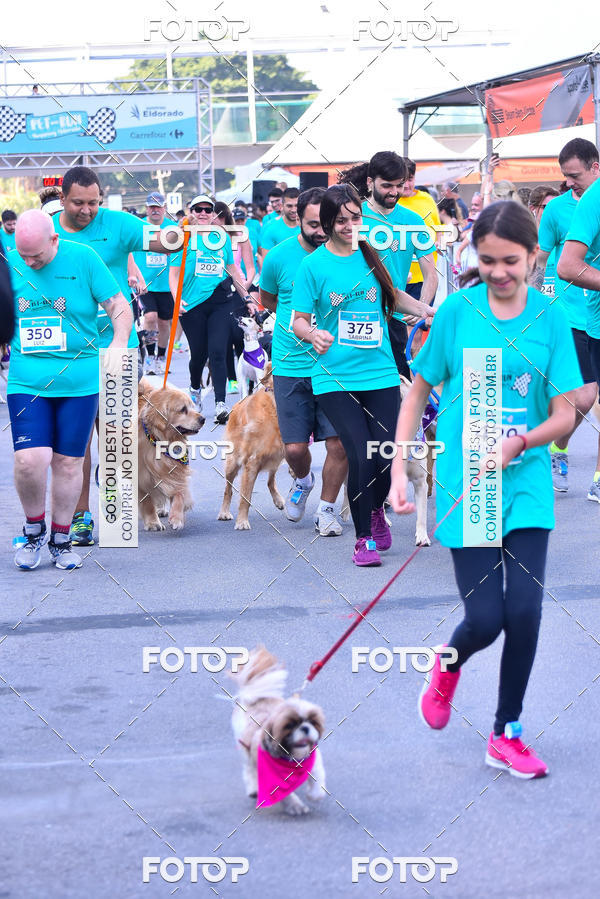 Buy your photos of the event2 Pet Run Shopping Eldorado  on Fotop