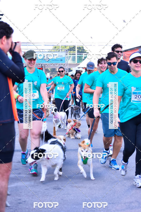 Buy your photos of the event2 Pet Run Shopping Eldorado  on Fotop
