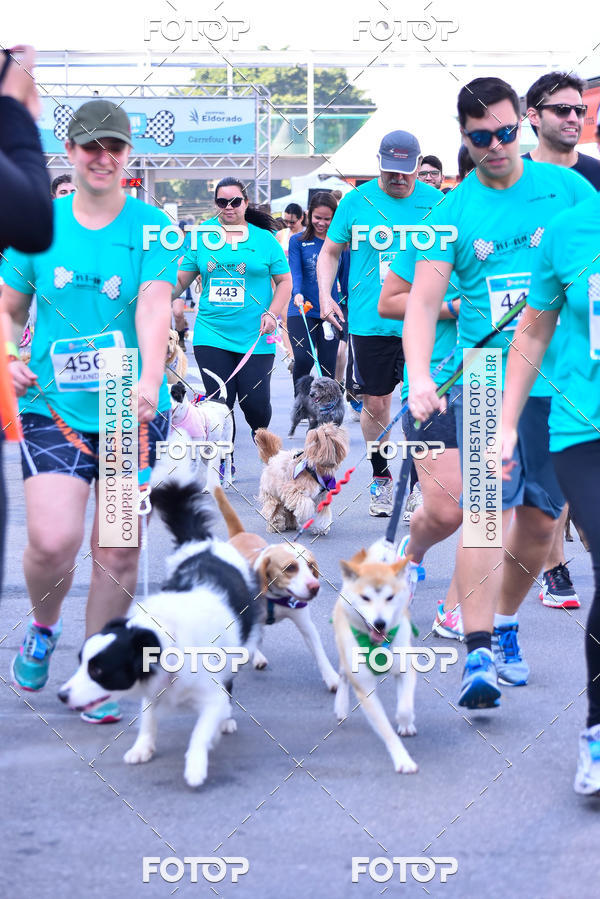 Buy your photos of the event2 Pet Run Shopping Eldorado  on Fotop